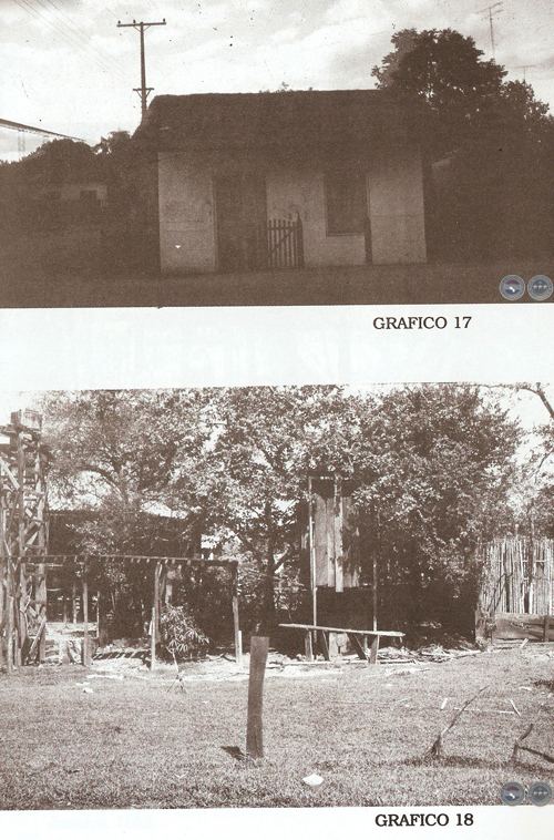EL VALLE Y LA LOMA & CULTURAS DE LA SELVA, 1995 - POR RAMIRO DOMÍNGUEZ